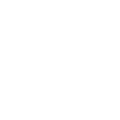 Digitilization